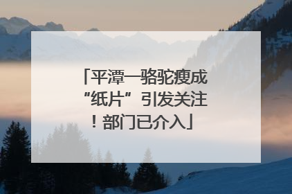 平潭一骆驼瘦成“纸片”引发关注！部门已介入