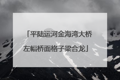 平陆运河金海湾大桥左幅桥面格子梁合龙