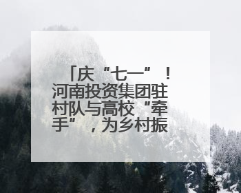 庆“七一”！河南投资集团驻村队与高校“牵手”，为乡村振兴添新活力