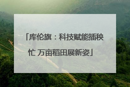 库伦旗：科技赋能插秧忙 万亩稻田展新姿