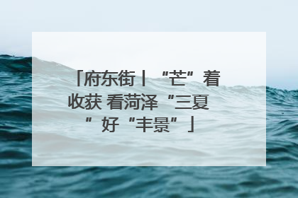 府东街丨“芒”着收获 看菏泽“三夏”好“丰景”
