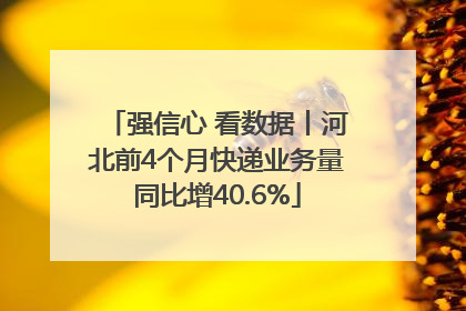 强信心 看数据丨河北前4个月快递业务量同比增40.6%