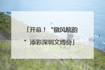 开幕！“徽风皖韵”添彩深圳文博会