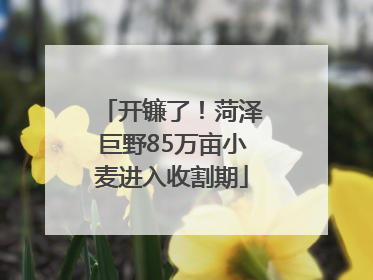 开镰了！菏泽巨野85万亩小麦进入收割期
