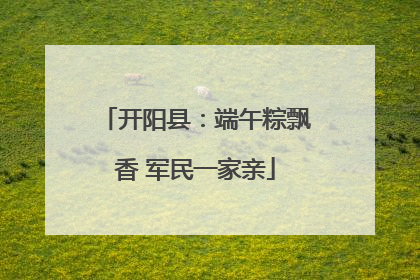 开阳县：端午粽飘香 军民一家亲