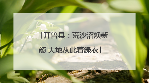 开鲁县：荒沙沼焕新颜 大地从此着绿衣