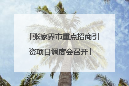 张家界市重点招商引资项目调度会召开