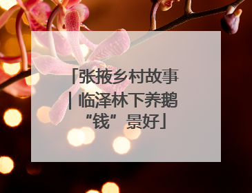 张掖乡村故事｜临泽林下养鹅“钱”景好