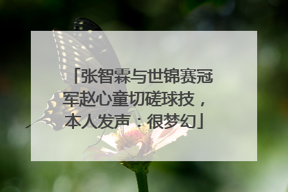 张智霖与世锦赛冠军赵心童切磋球技，本人发声：很梦幻