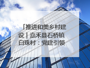 推进和美乡村建设｜嘉禾县石桥镇白珠村：党建引领破“空”局 乡贤聚力绘就新图景