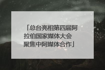 总台亮相第四届阿拉伯国家媒体大会 聚焦中阿媒体合作