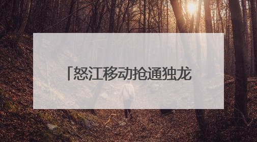 怒江移动抢通独龙江乡全部通信网络