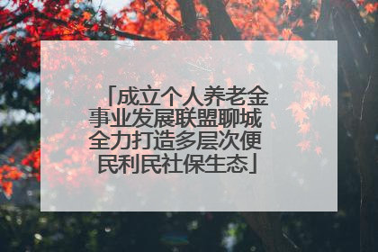 成立个人养老金事业发展联盟聊城全力打造多层次便民利民社保生态
