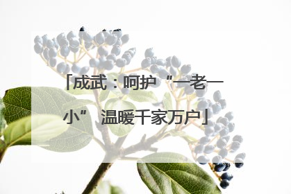 成武：呵护“一老一小” 温暖千家万户