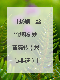 扬剧：丝竹悠扬 妙音婉转（我与非遗）