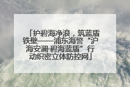护碧海净浪，筑蓝盾铁壁——浦东海警“沪海安澜·碧海蓝盾”行动织密立体防控网