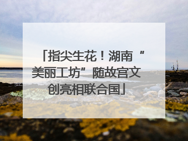 指尖生花！湖南“美丽工坊”随故宫文创亮相联合国