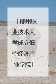柳州职业技术大学成立低空经济产业学院