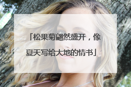 松果菊翩然盛开，像夏天写给大地的情书