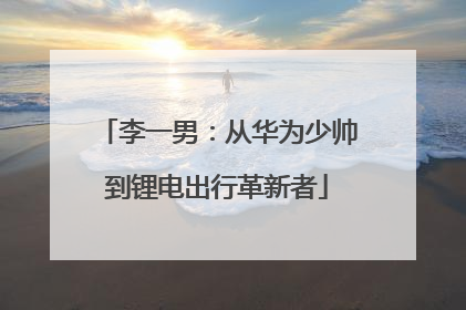 李一男：从华为少帅到锂电出行革新者