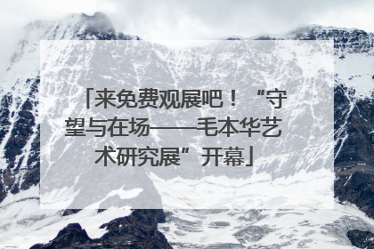 来免费观展吧！“守望与在场——毛本华艺术研究展”开幕