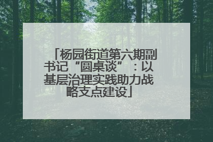 杨园街道第六期副书记“圆桌谈”：以基层治理实践助力战略支点建设