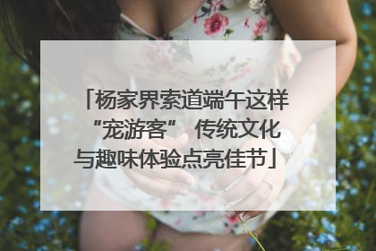 杨家界索道端午这样“宠游客” 传统文化与趣味体验点亮佳节