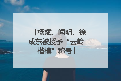 杨斌、闻明、徐成东被授予“云岭楷模”称号