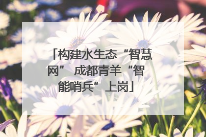 构建水生态“智慧网” 成都青羊“智能哨兵”上岗