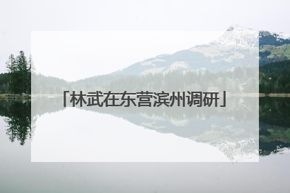 林武在东营滨州调研