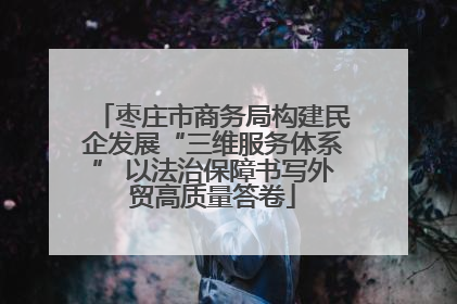 枣庄市商务局构建民企发展“三维服务体系” 以法治保障书写外贸高质量答卷