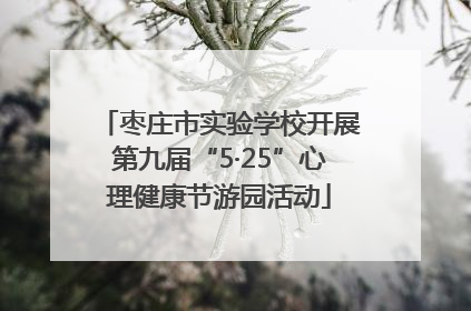 枣庄市实验学校开展第九届“5·25”心理健康节游园活动