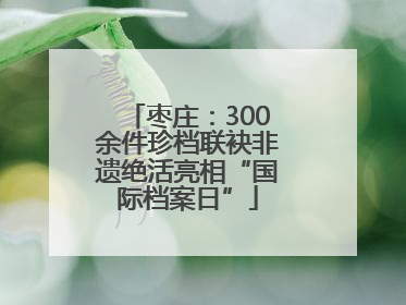 枣庄：300余件珍档联袂非遗绝活亮相“国际档案日”
