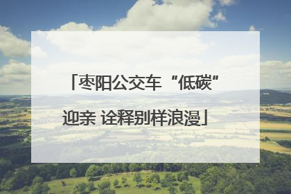 枣阳公交车“低碳”迎亲 诠释别样浪漫