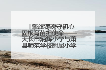 擎旗铸魂守初心 固根育苗担使命——天长市炳辉小学与萧县师范学校附属小学结对共建活动纪实