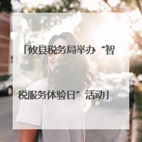攸县税务局举办“智税服务体验日”活动