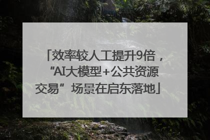 效率较人工提升9倍，“AI大模型+公共资源交易”场景在启东落地