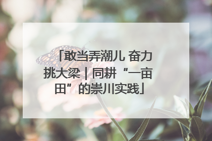 敢当弄潮儿 奋力挑大梁｜同耕“一亩田”的崇川实践