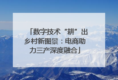 数字技术“耕”出乡村新图景：电商助力三产深度融合