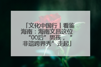文化中国行丨看鉴海南：海南文昌这位“00后”男孩，“非遗跨界秀”走起