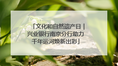 文化和自然遗产日｜兴业银行南京分行助力千年运河焕新出彩