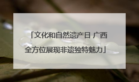 文化和自然遗产日 广西全方位展现非遗独特魅力