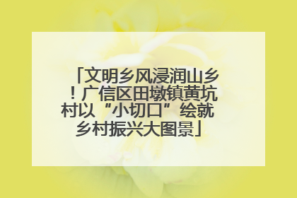文明乡风浸润山乡！广信区田墩镇黄坑村以“小切口”绘就乡村振兴大图景