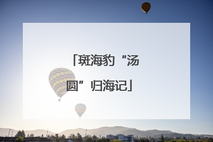 斑海豹“汤圆”归海记