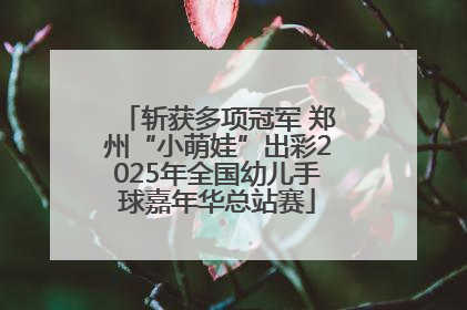 斩获多项冠军 郑州“小萌娃”出彩2025年全国幼儿手球嘉年华总站赛