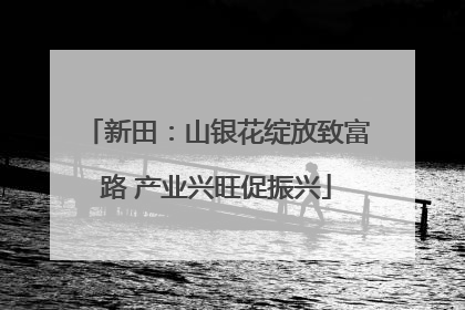 新田：山银花绽放致富路 产业兴旺促振兴