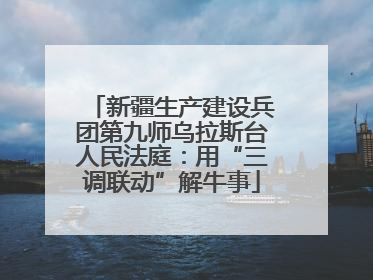 新疆生产建设兵团第九师乌拉斯台人民法庭：用“三调联动”解牛事