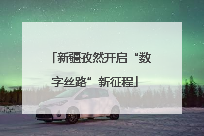 新疆孜然开启“数字丝路”新征程