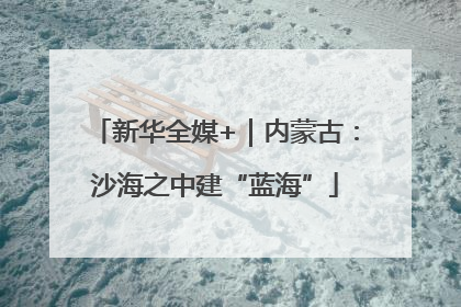 新华全媒+｜内蒙古：沙海之中建“蓝海”