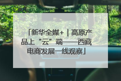 新华全媒+｜高原产品上“云”端——西藏电商发展一线观察